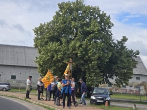 Dzień 4 – grupa pielgrzymów na trasie do Śremu